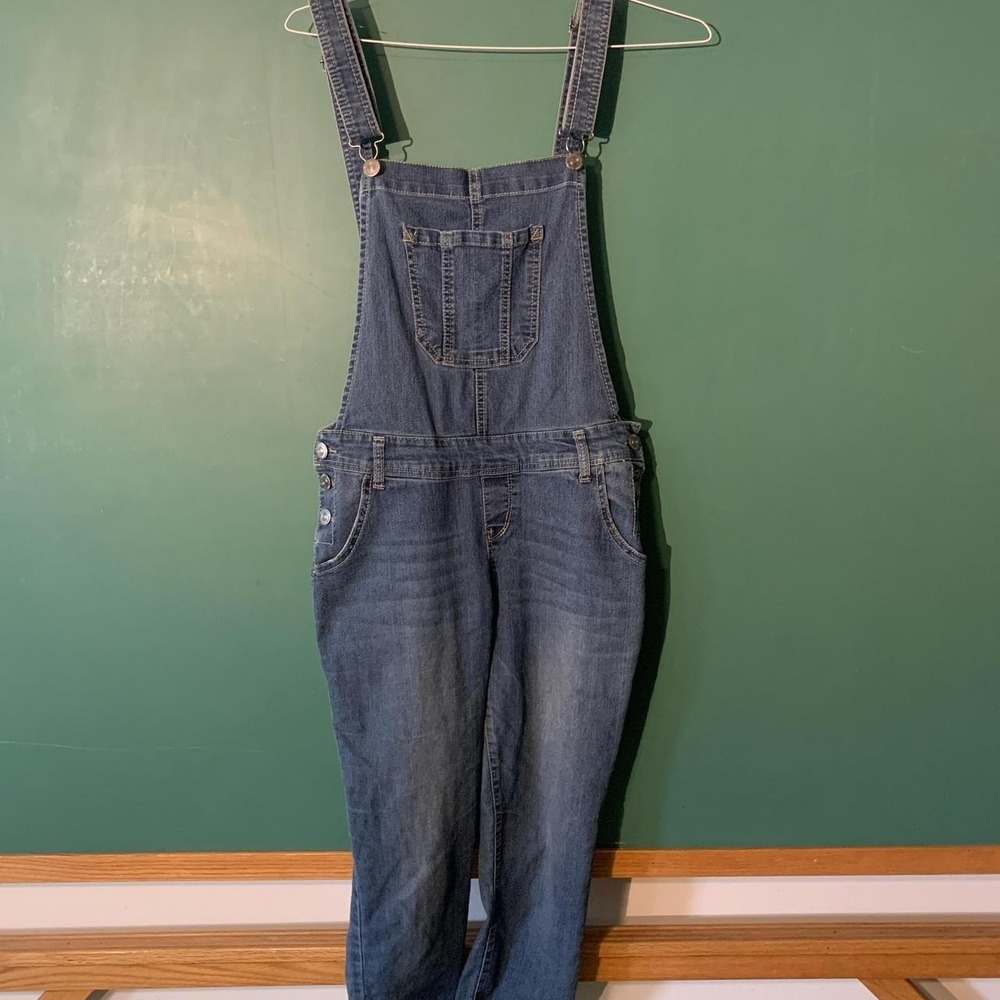 Wallflower Womens Blue Denim Overalls Adjustable Straps WFN10853G Size L